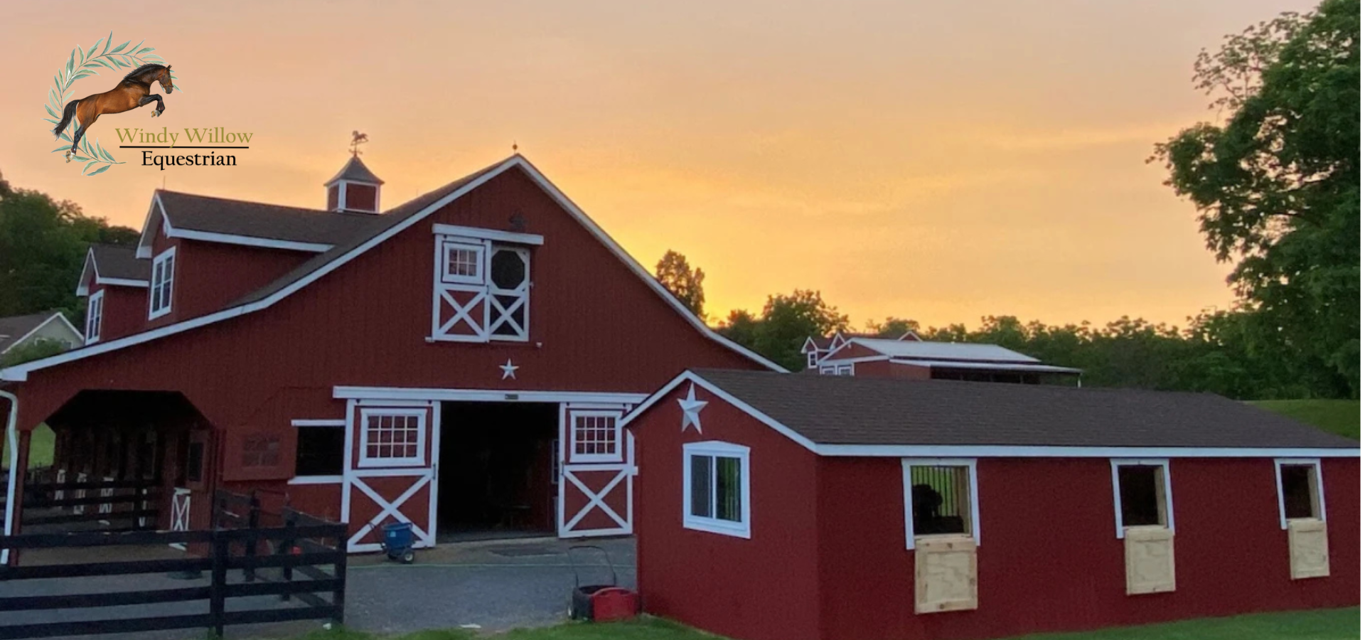 our yard image